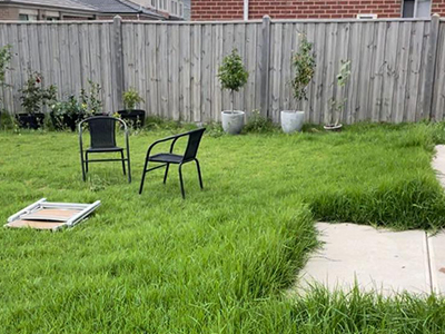 Garden maintenance Melbourne