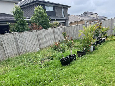 gardening services melbourne